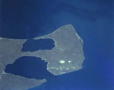 Valdes Peninsula（Argentina）