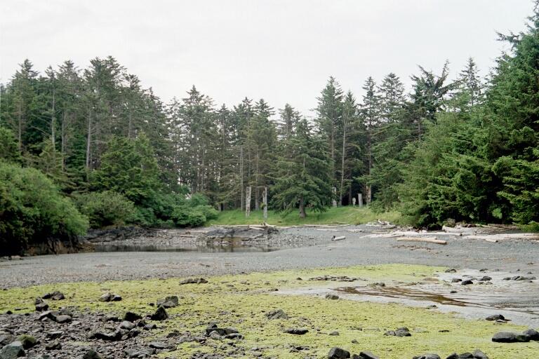 Ninstints（Canada）