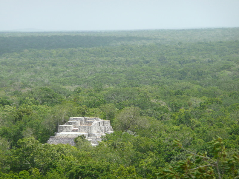 Calakmul Biosphere Reserve（Mexico）