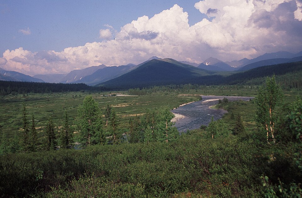 Virgin Komi Forests（Russia）