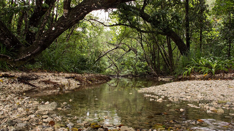 Ujung Kulon National Park（Indonesia）