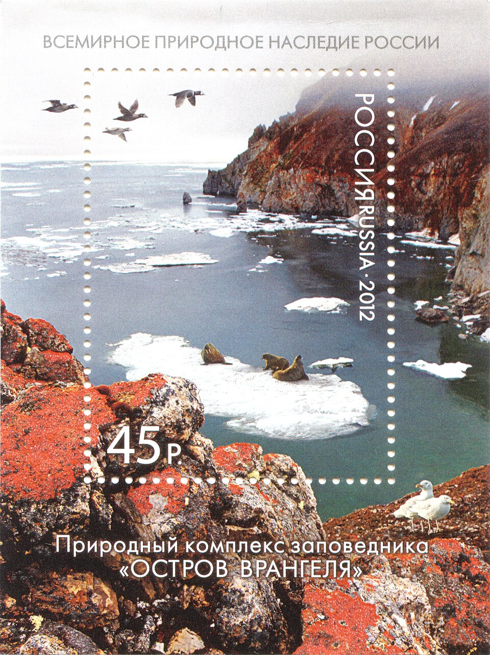 Zapovednik Wrangel Island（Russia）