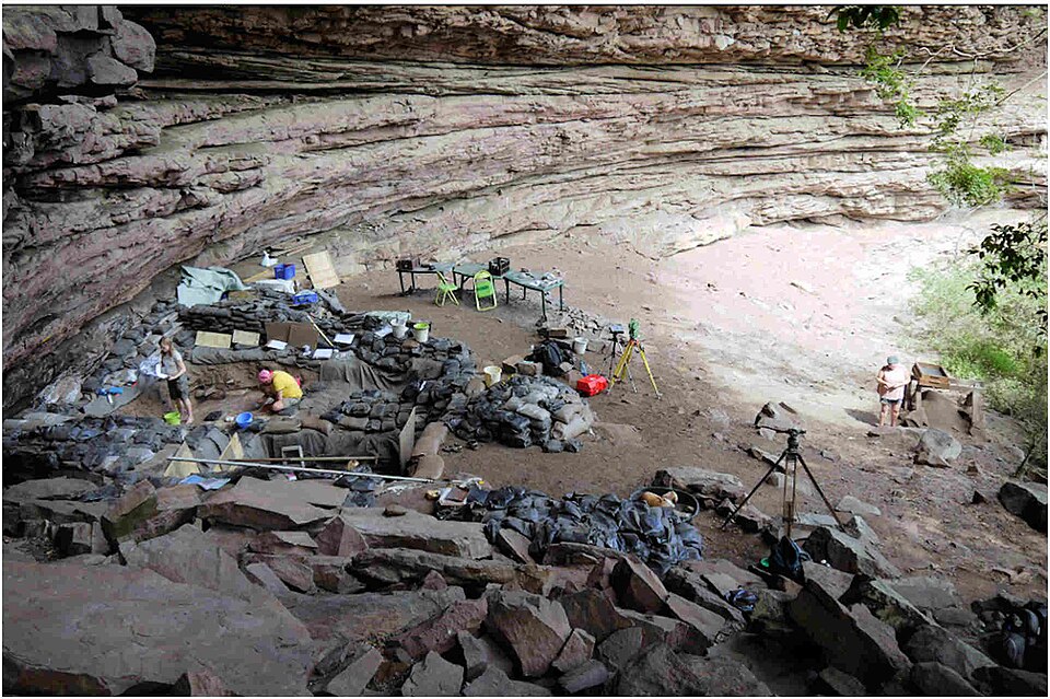 The Emergence of Modern Humans: The Pleistocene occupation sites of South Africa（South Africa）