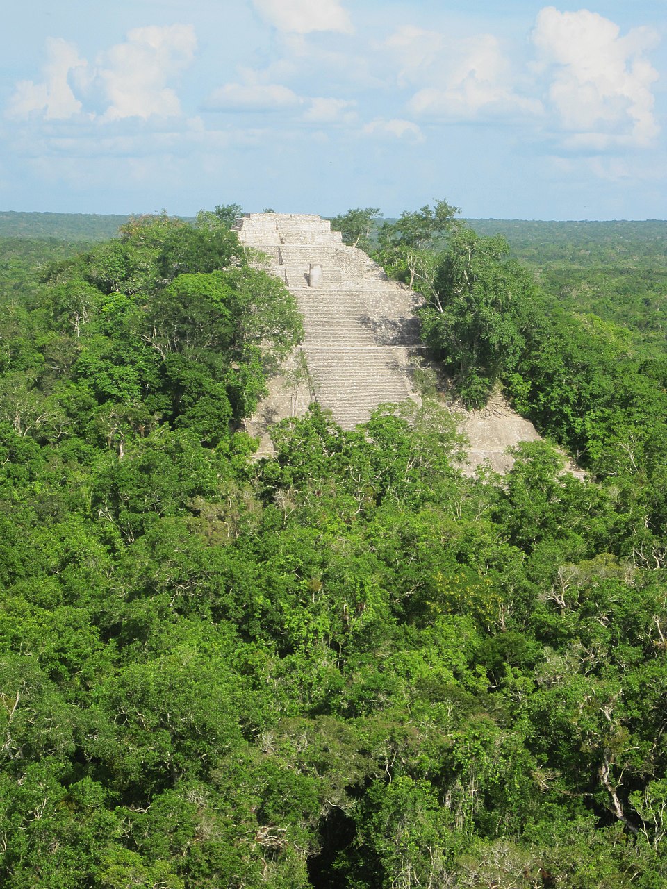 Calakmul（Mexico）