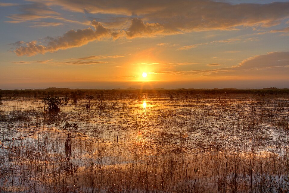 Everglades National Park（United States）