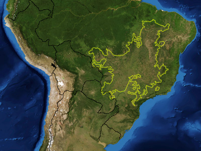 Cerrado（Brazil）