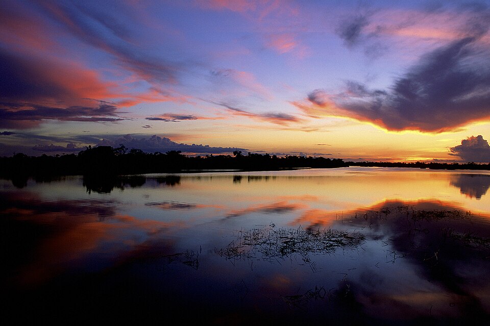 Jaú National Park（Brazil）