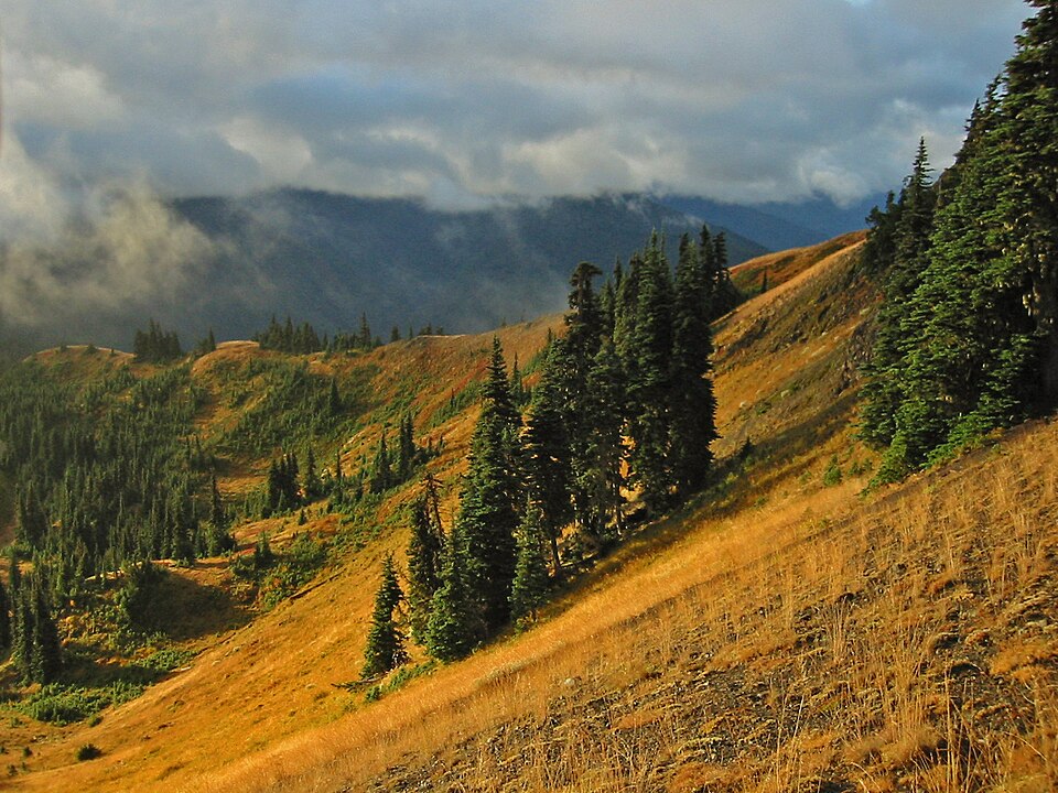 Olympic National Park（United States）