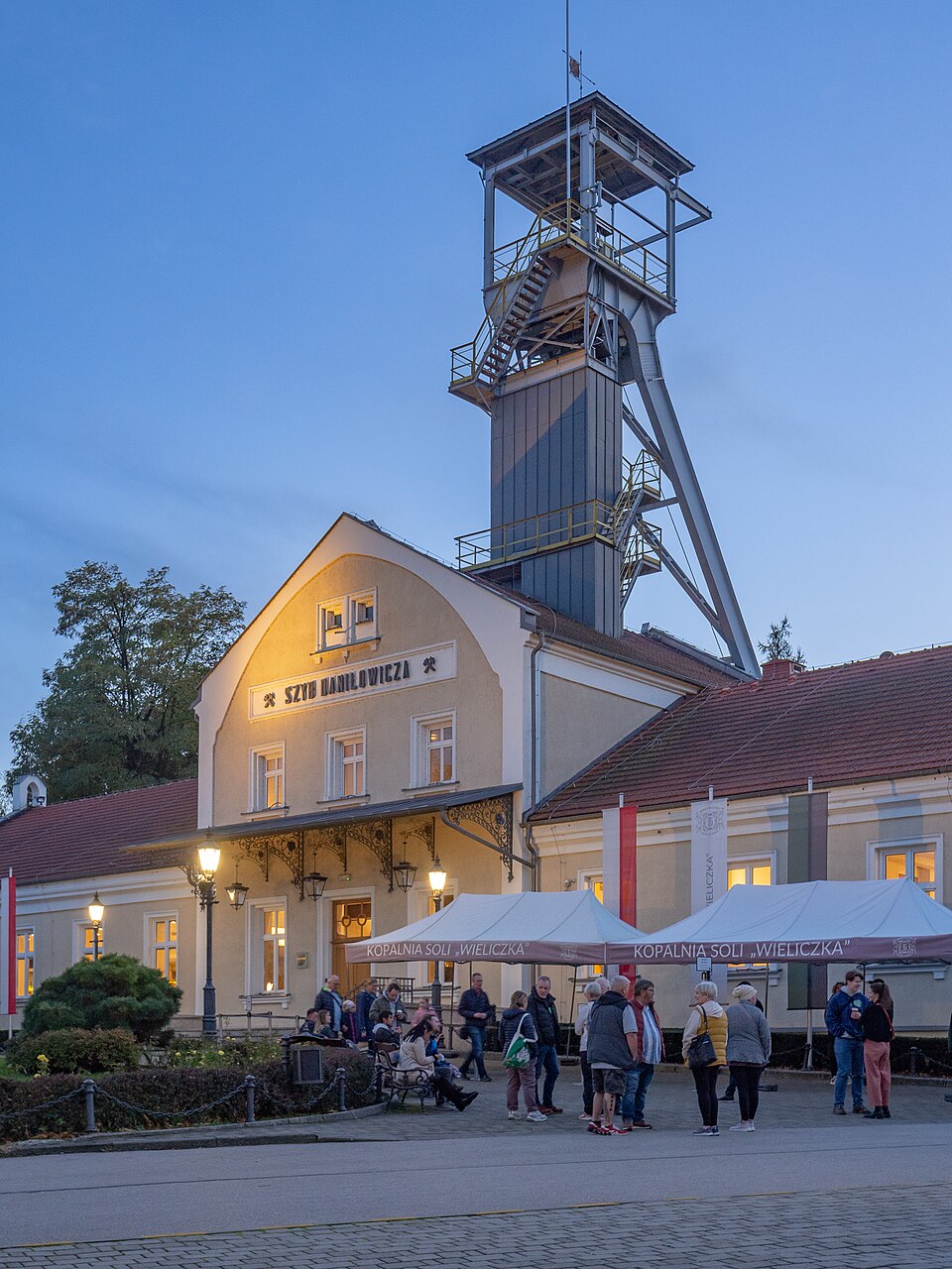 Wieliczka and Bochnia Royal Salt Mines（Poland）