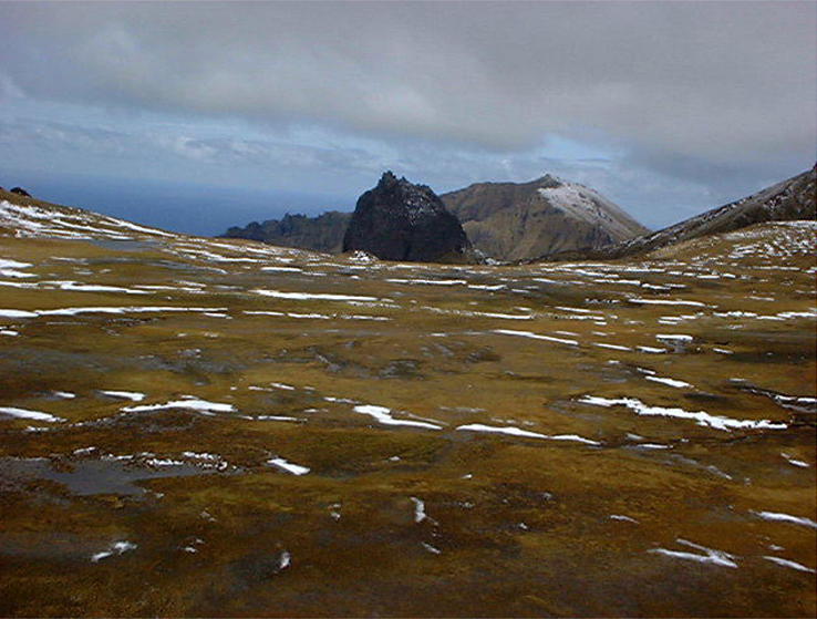 Gough and Inaccessible Islands（United Kingdom）