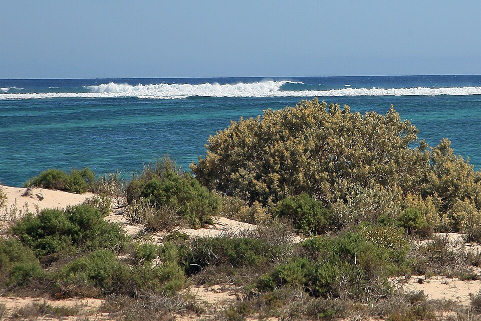 Ningaloo Reef（Australia）