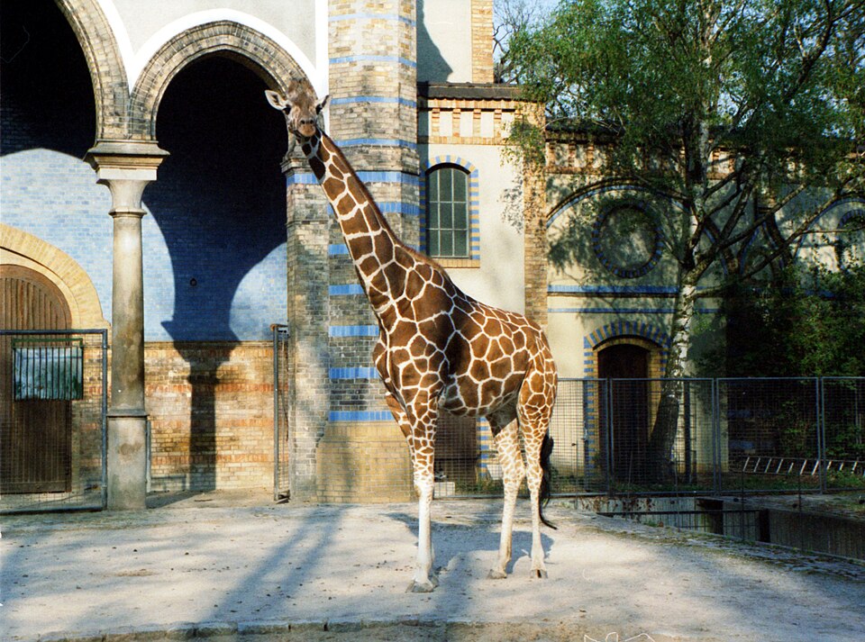 Berlin Zoological Garden（Germany）