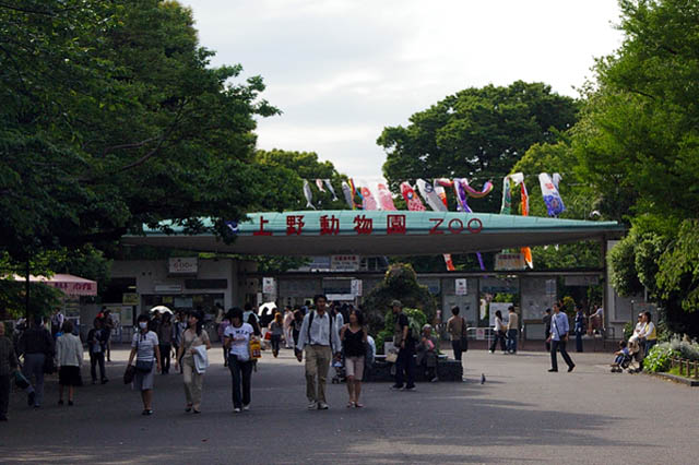 Ueno Zoo（Japan）