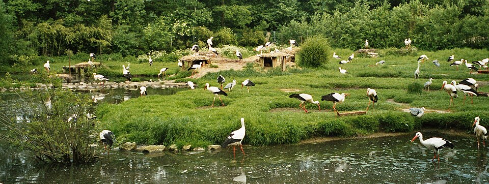 NaturZoo Rheine（Germany）