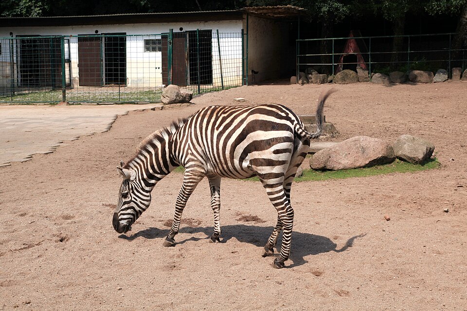 Tierpark Gettorf（Germany）