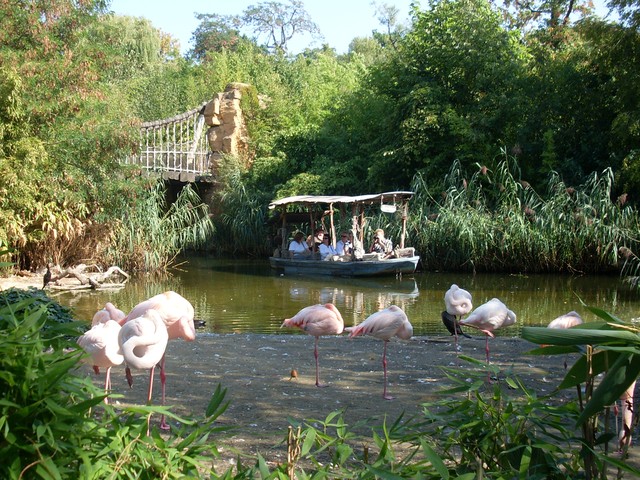 Hanover Zoo（Germany）