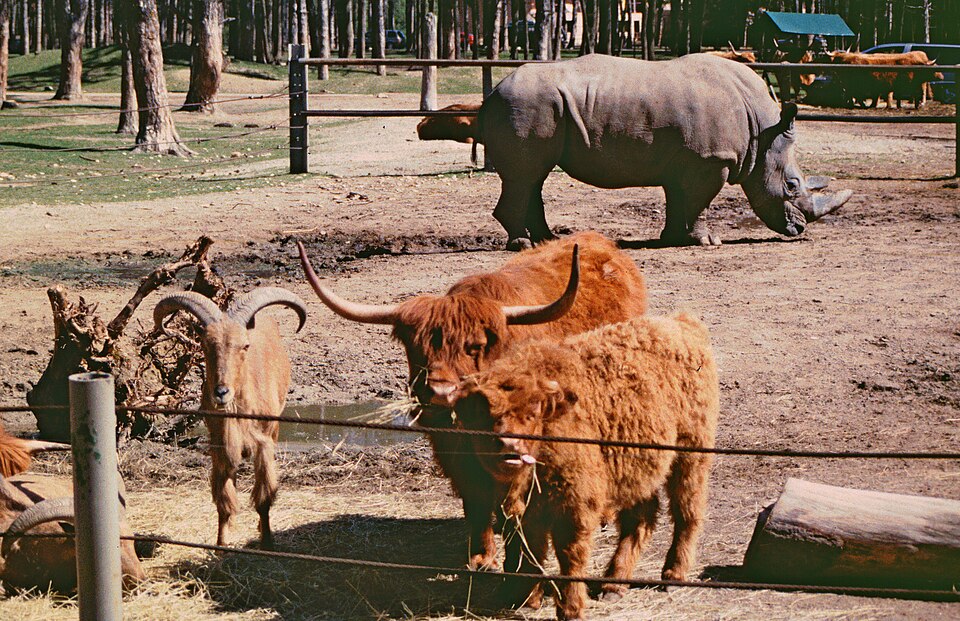Safaripark Gänserndorf（Austria）