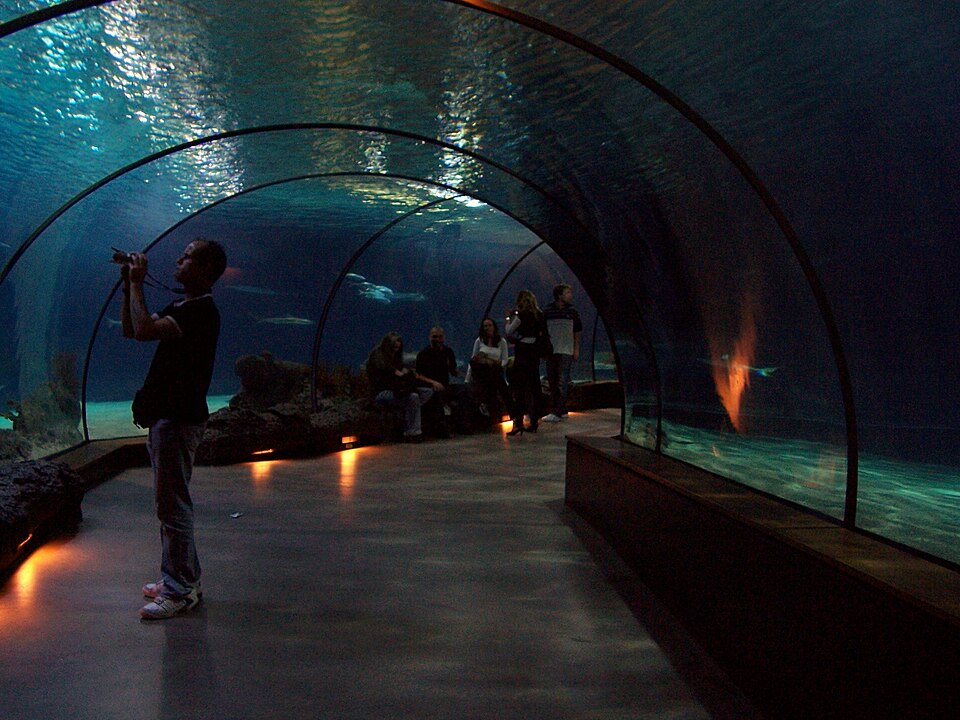 Oceanium（Netherlands）
