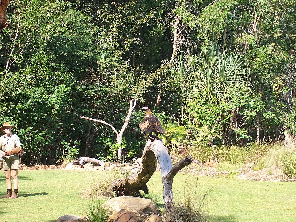Territory Wildlife Park（Australia）