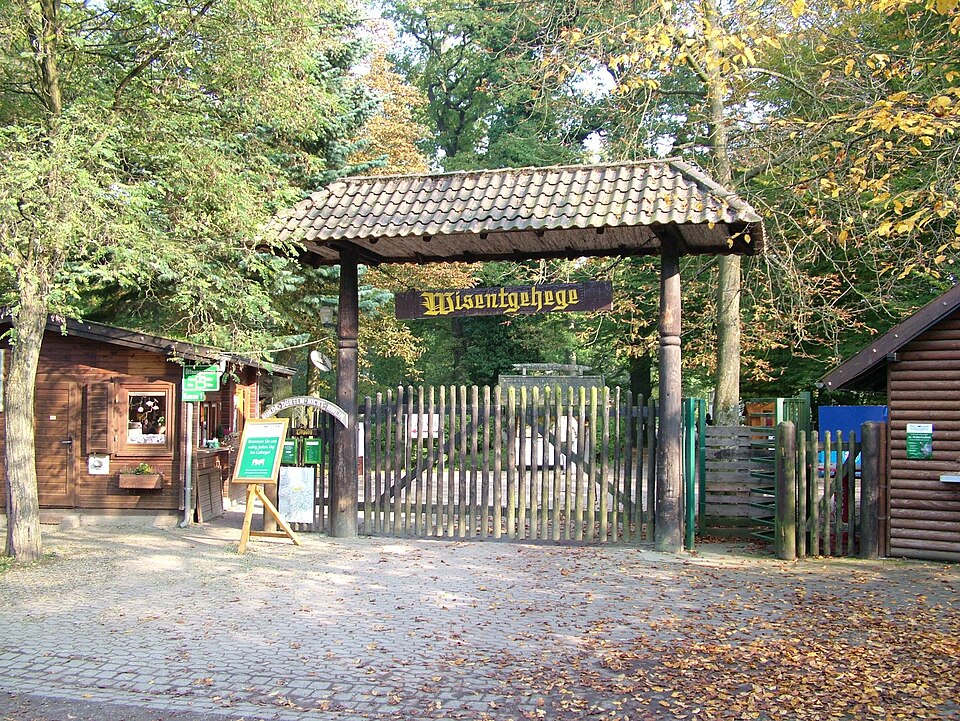 Wisentgehege Springe（Germany）