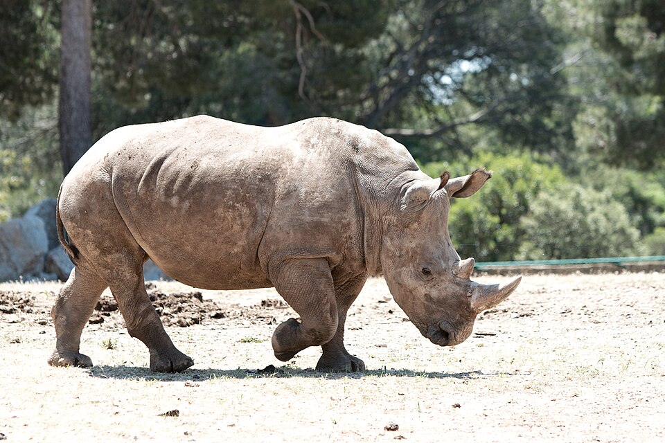 Zoo La Barben（France）