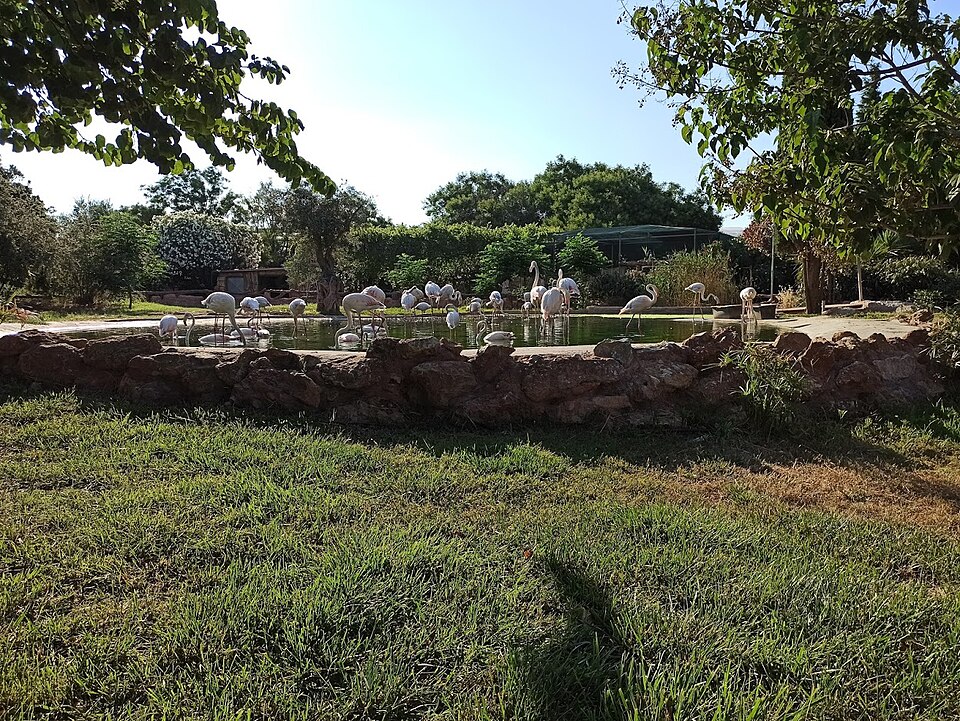 Attica Zoological Park（Greece）