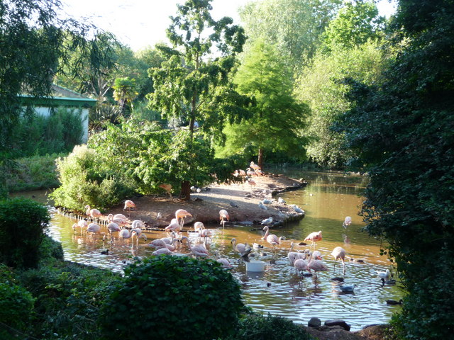 Paignton Zoo（United Kingdom）