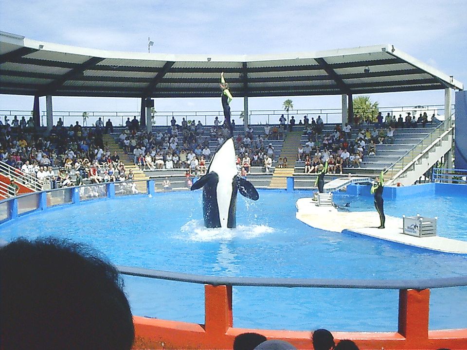 Miami Seaquarium（United States）