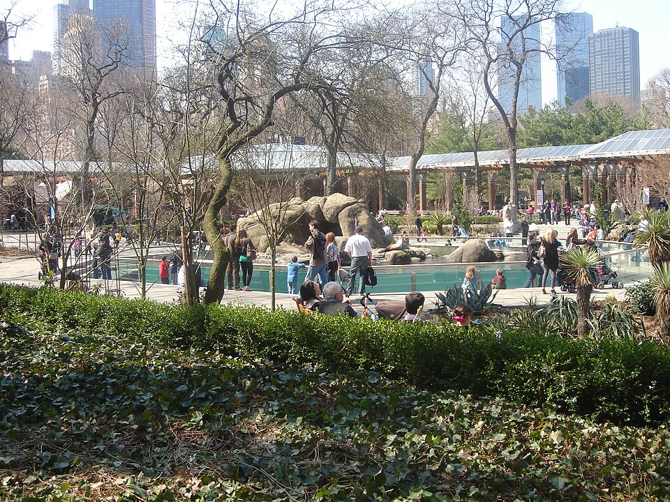 Central Park Zoo（United States）