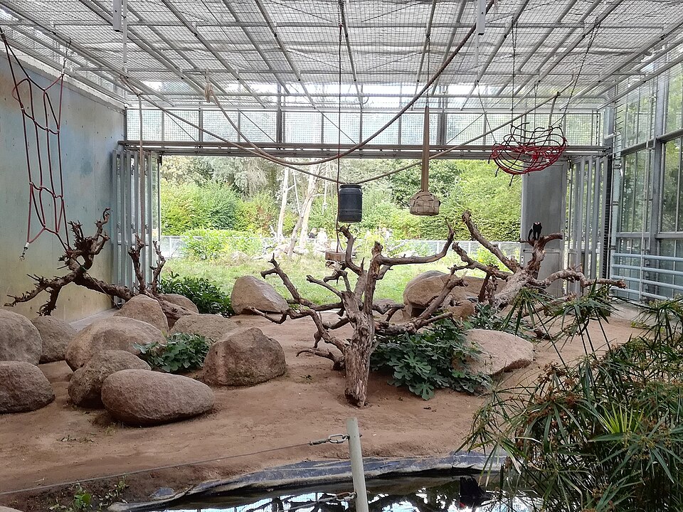Vivarium Darmstadt（Germany）