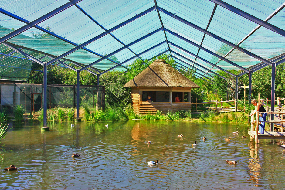 Vogelpark Marlow（Germany）