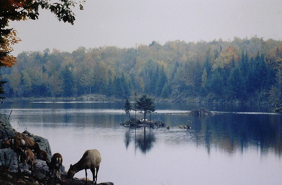 Parc Omega（Canada）