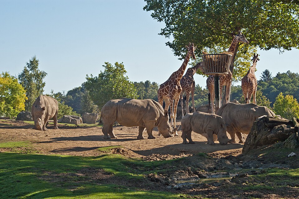ZooParc de Beauval（France）