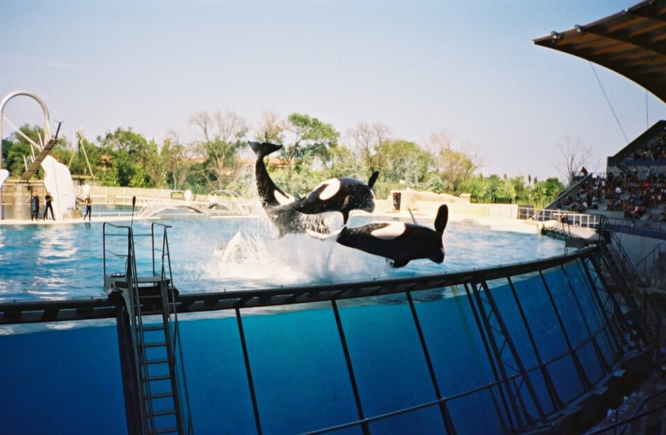 Marineland（France）