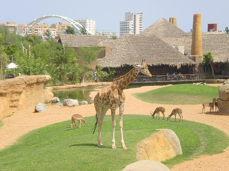 Valencia Bioparc（Spain）