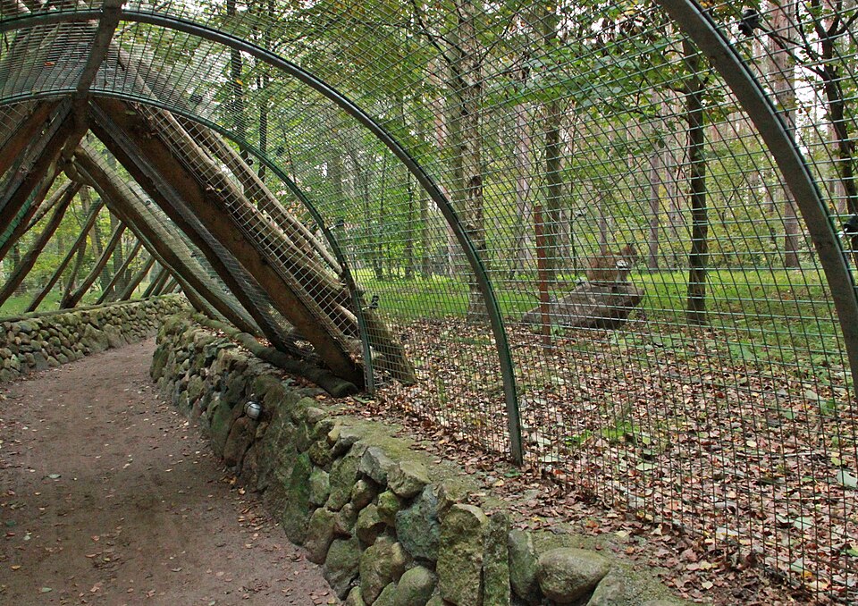 Wildpark-MV（Germany）