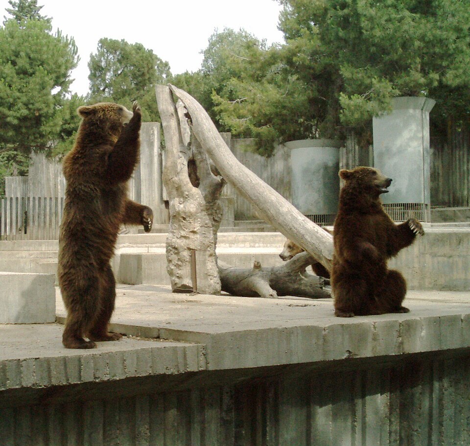 Zoo Aquarium de Madrid（Spain）