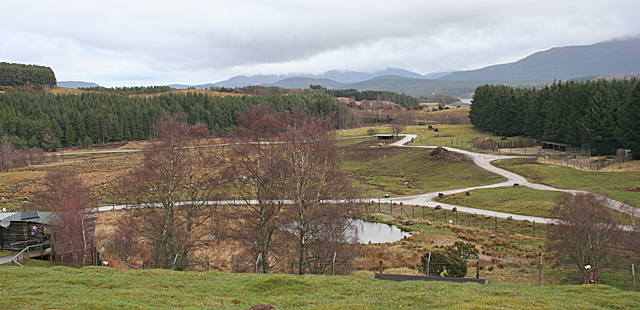 Highland Wildlife Park（United Kingdom）
