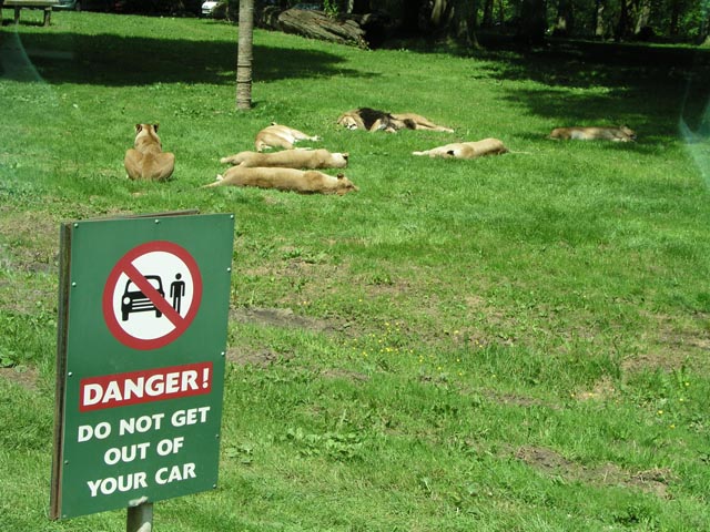Longleat Safari and Adventure Park（United Kingdom）