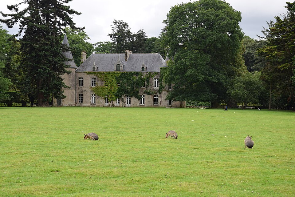 Zoo and Botanical Garden of Branféré（France）