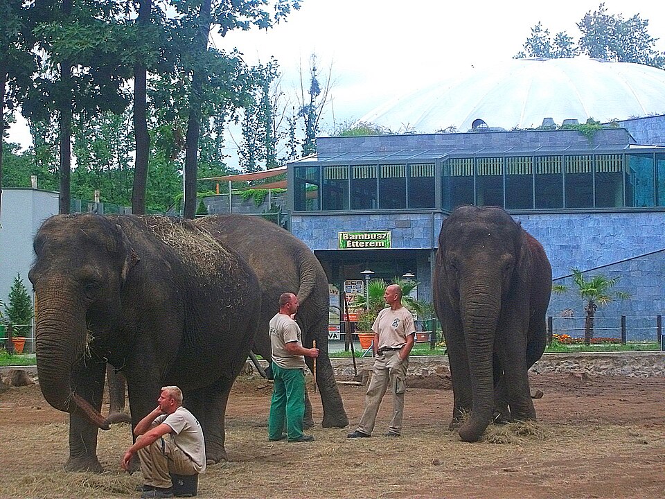 Nyíregyháza Zoo（Hungary）
