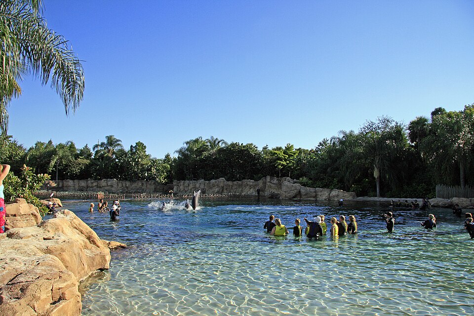 Discovery Cove（United States）