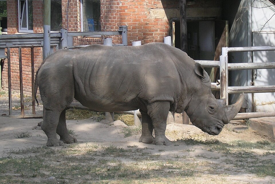 Rostov Zoo（Russia）