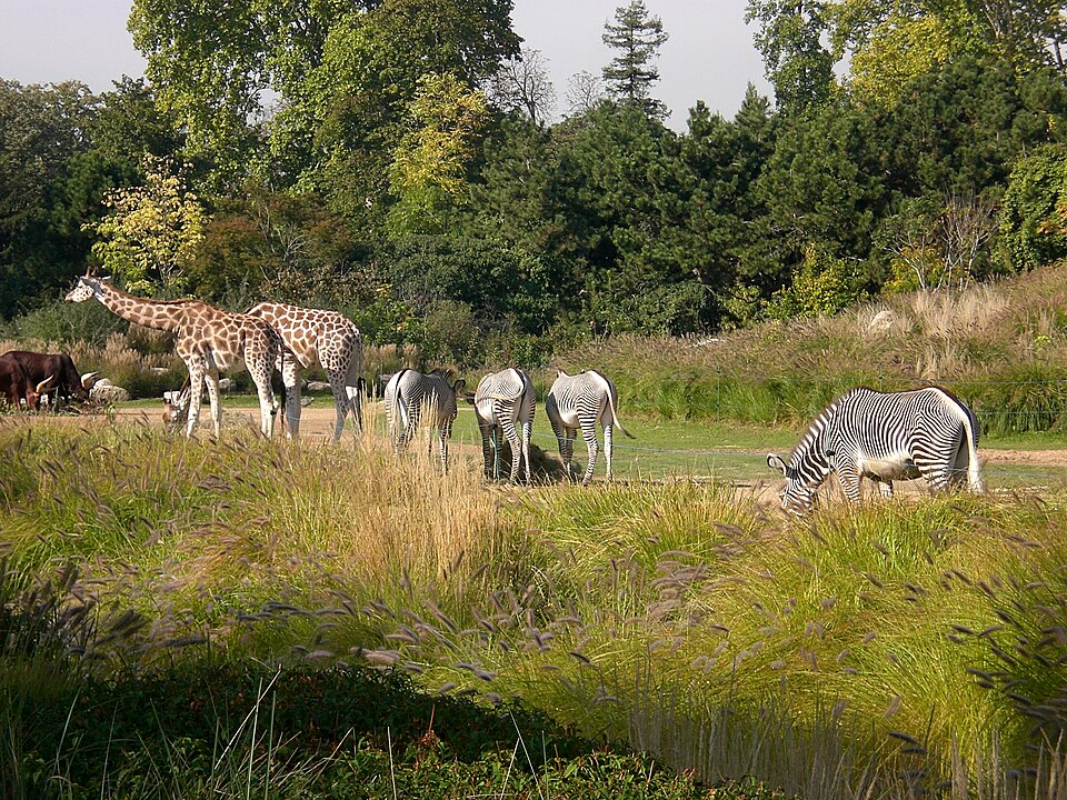 Jardin zoologique de la ville de Lyon（France）