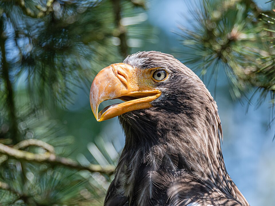 Schmiding Zoo（Austria）