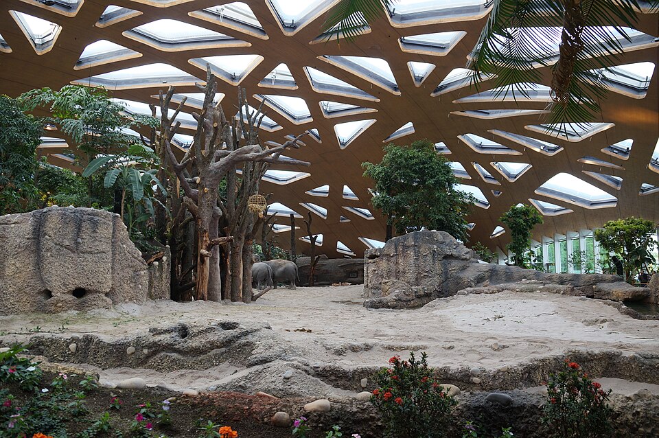 Zürich Zoo（Switzerland）