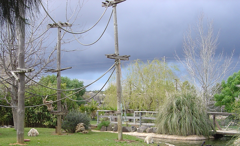 Zoo Lagos（Portugal）