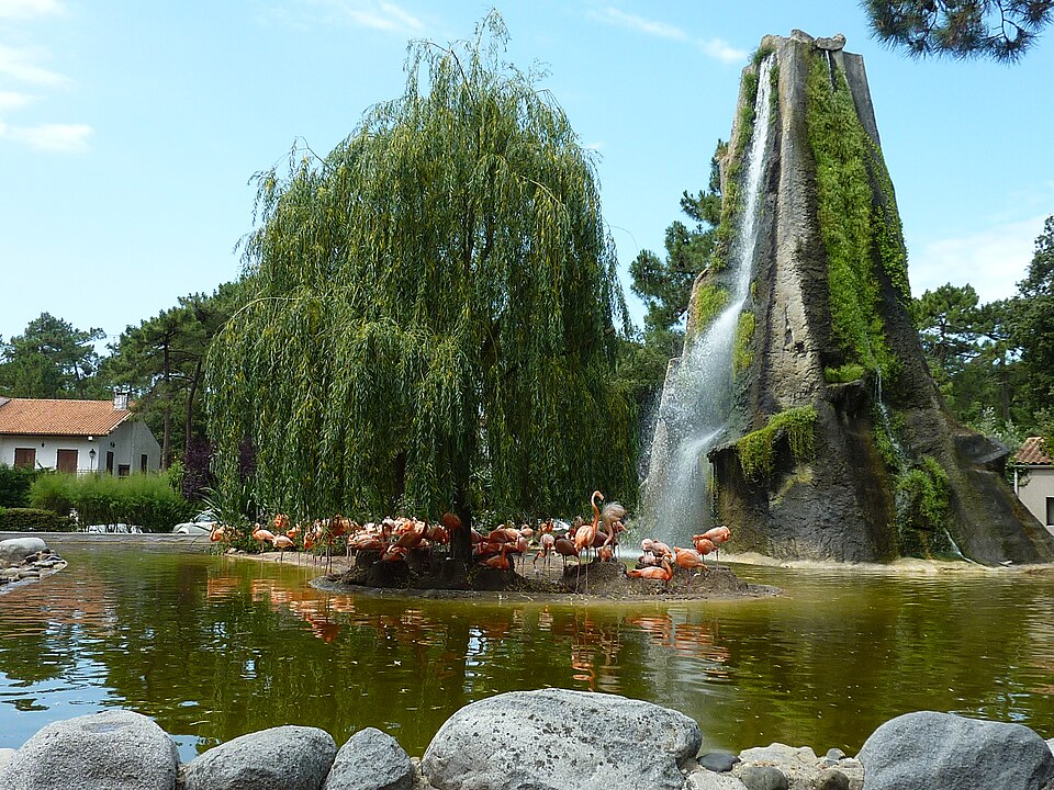 La Palmyre Zoo（France）
