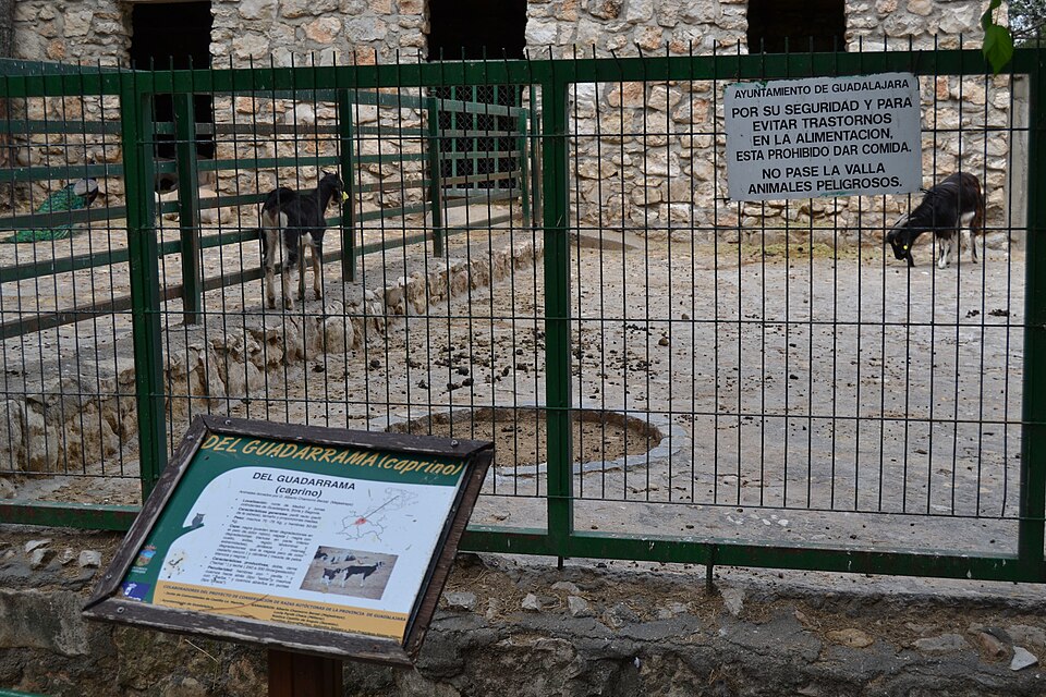 Zoo de Guadalajara（Spain）