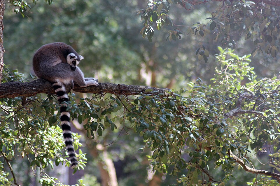 Labenne's zoo（France）